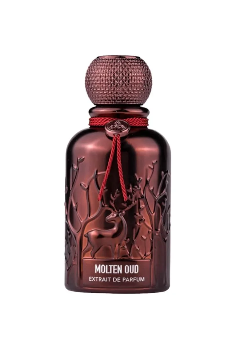 Molten Oud perfume extract - мъже - 100 мл