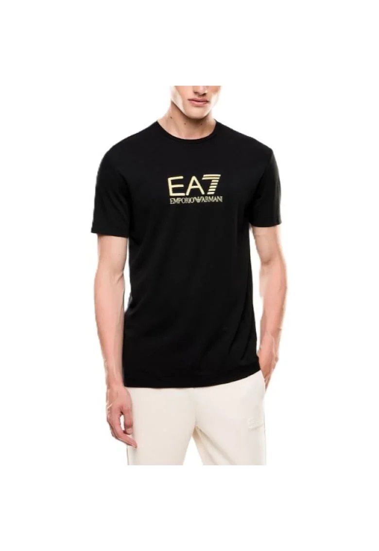 Тениска  TRAIN GOLD LABEL M TEE SS BIG LOGO VI PA-7M000667-AF13739-UC001