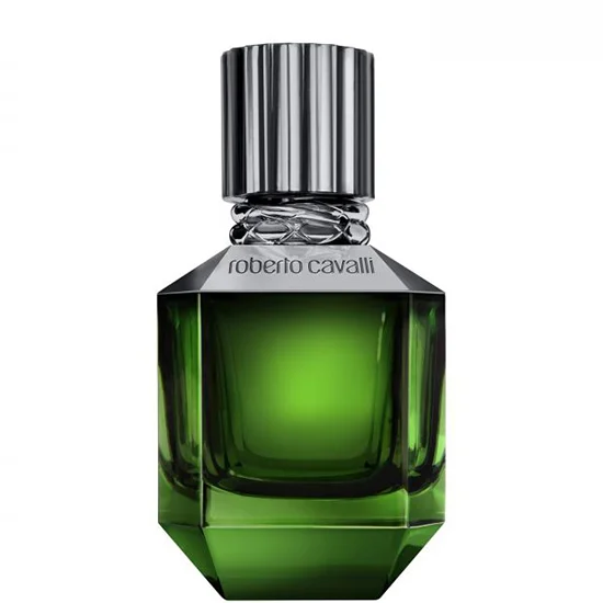 Roberto Cavalli Paradise Found for men парфюм за мъже 50 мл