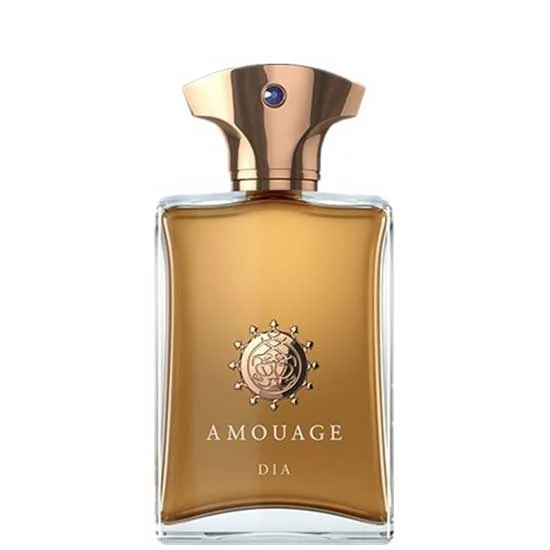 Amouage Dia Pour Homme парфюм за мъже 100 мл