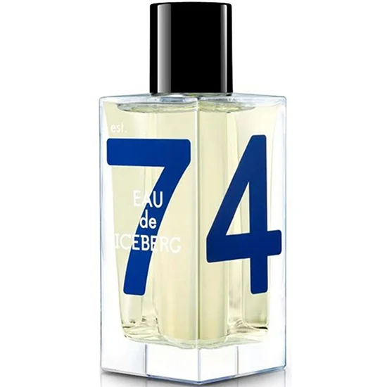 Iceberg Eau De ICEBERG CEDAR парфюм за мъже EDT 100 мл
