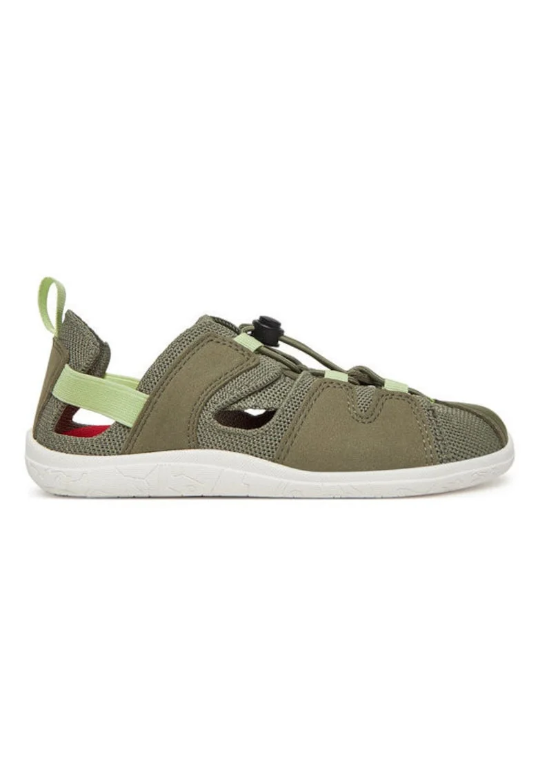 Каки